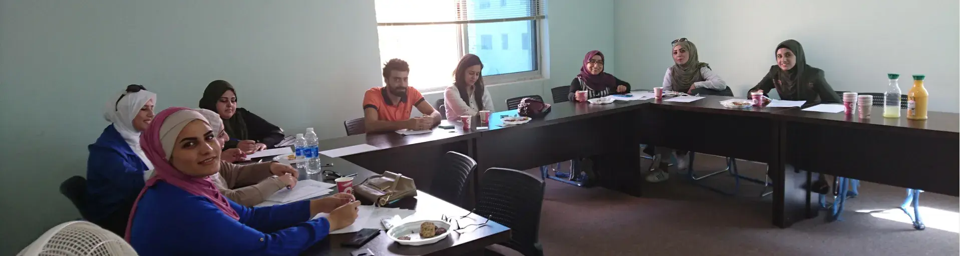 using-sensemaker-to-evaluate-sustainable-livelihoods-programmes-in-jordan