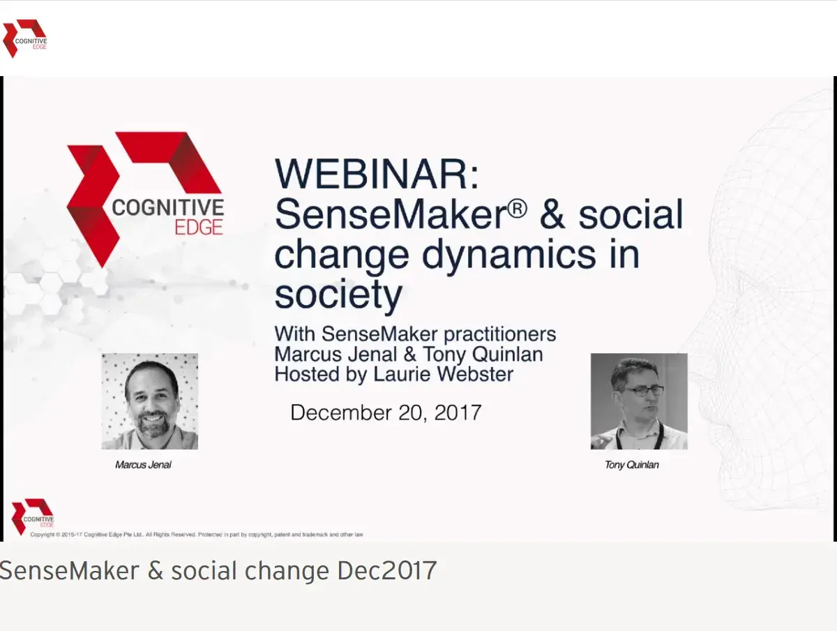 sensemaker-and-social-change-dynamics-slides